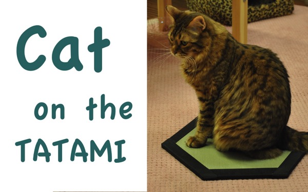 Cat on the tatami